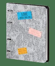 Тетрадь на кольцах в клетку InFolio, Study, 120 листов, серая