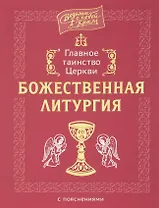 Главное таинство Церкви. Божественная Литургия с пояснениями