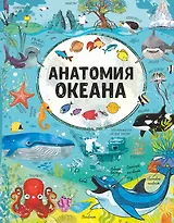 Анатомия океана
