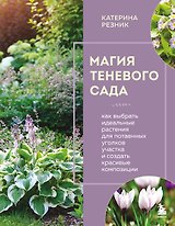 Магия теневого сада. Как выбрать идеальные растения для потаенных уголков участка и создать красивые композиции