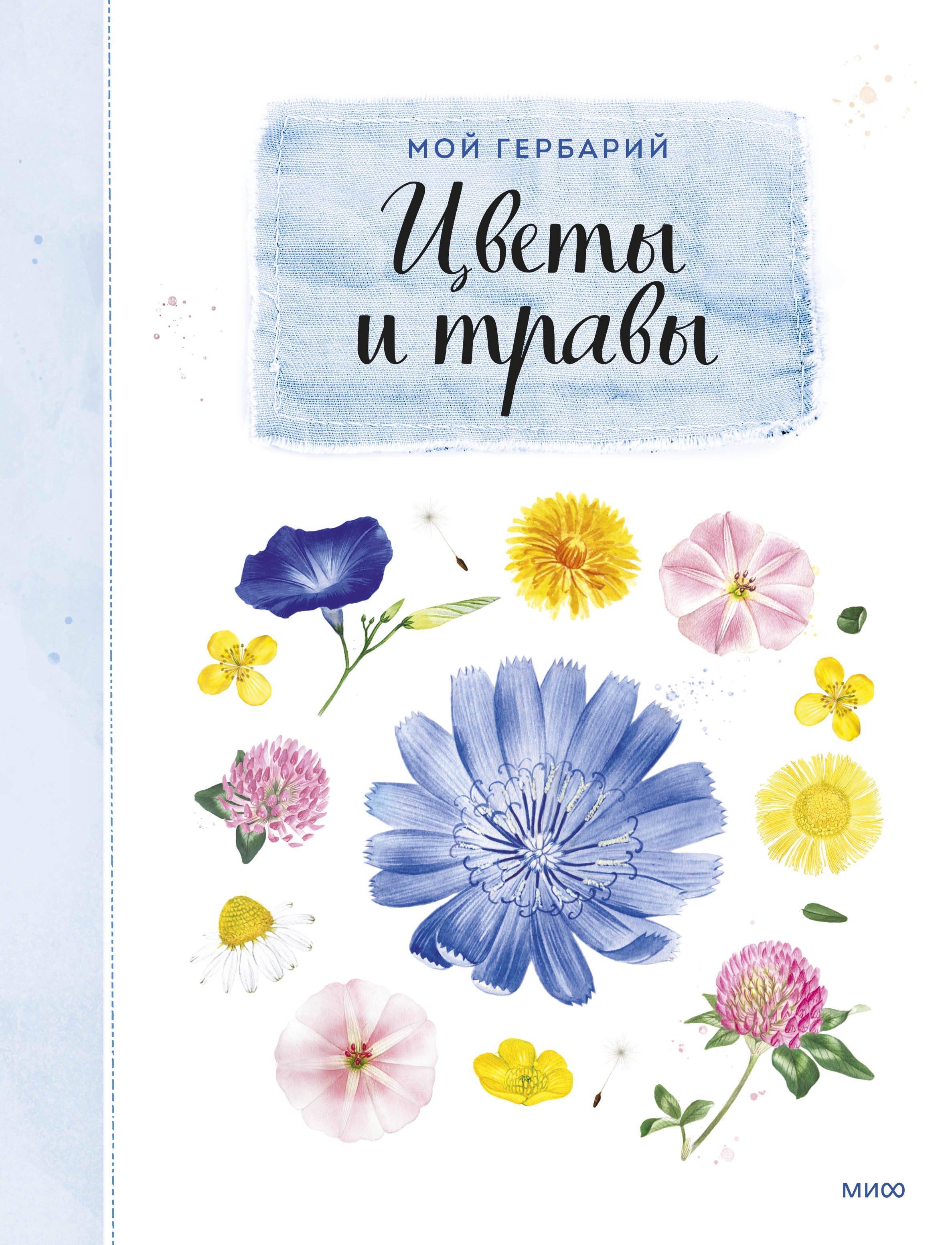 

Мой гербарий. Цветы и травы(переупак)