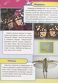 Насекомые, рыбы и рептилии Европы - 1