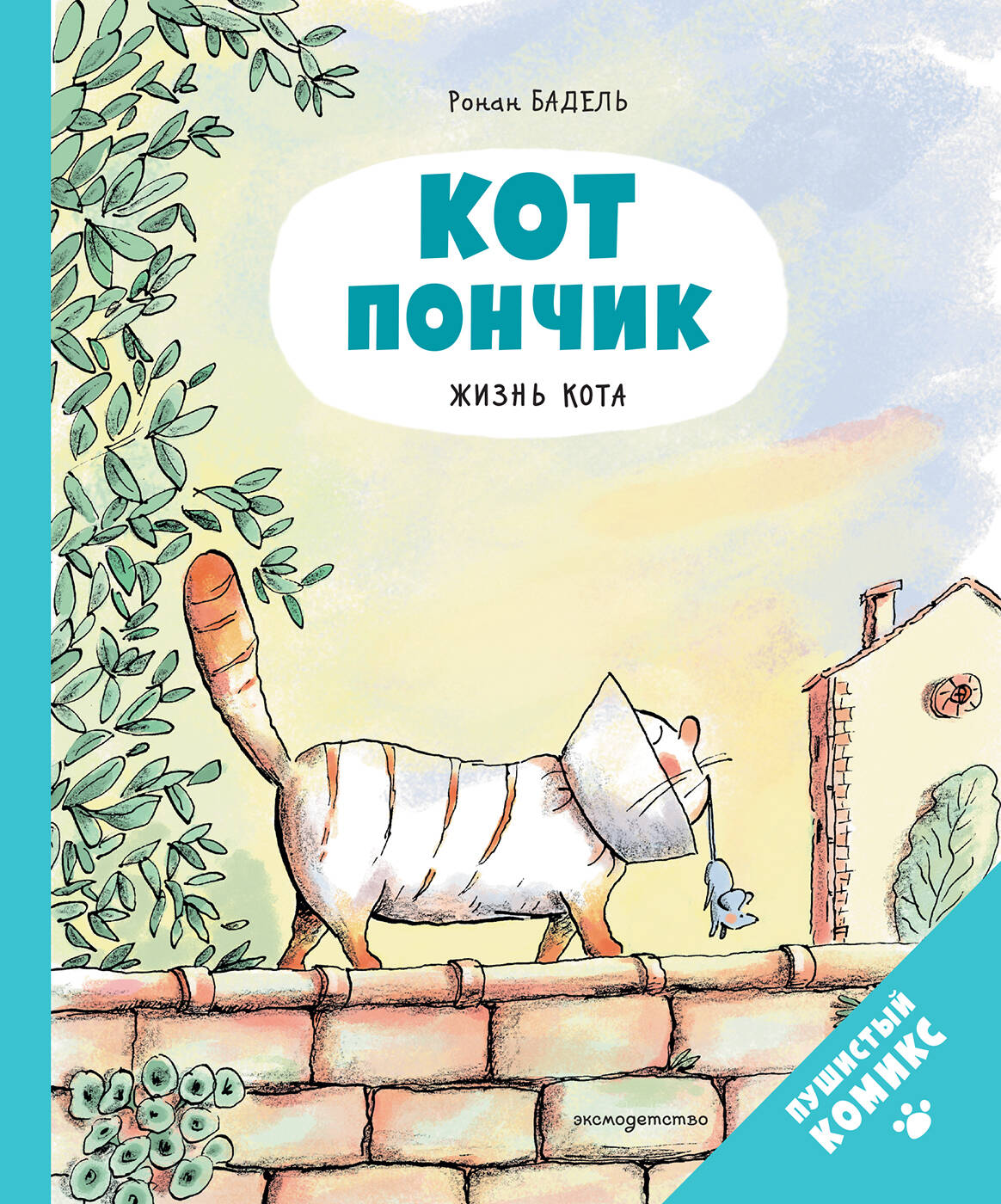 

Кот Пончик. Жизнь кота