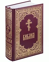 Библия. Книги Священного Писания Ветхого и Нового Завета (с гравюрами Г. Доре и Ю. Шнорр фон Карольсфельда)