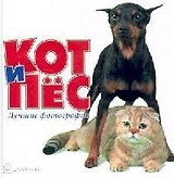 Кот и пес, Лучшие фотографии