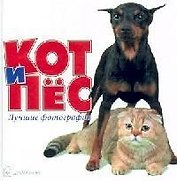 Кот и пес, Лучшие фотографии