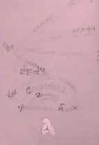 Что такое композиция? Что такое ППР-ПН философия?