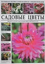 Садовые цветы. Виды и сорта, сроки цветения, уход