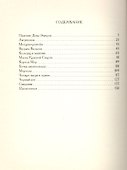 Маска Красной Смерти (в коробке) - 1