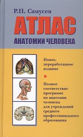Атлас анатомии человека: учебное пособие для студентов учреждений среднего профессионального образования. 7 -е изд., перераб.