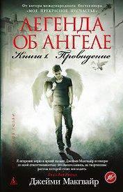 Легенда об ангеле. Книга 1. Провидение