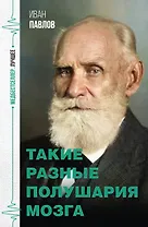 Такие разные полушария мозга