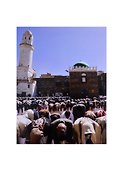 Image of mosque Образ мечети Альбом (на рус. и англ. яз) Ласикова (ПИ) - 2