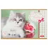 Альбом для рисования Hatber, Sweet pets, А5, 12 листов, на скрепке, в ассортименте - 2