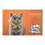 Альбом для рисования 30л А4 "Pure Orange Cuteness" склейка, мел.картон, твин-лак