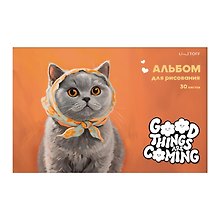 Альбом для рисования 30л А4 "Pure Orange Cuteness" склейка, мел.картон, твин-лак