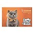 Альбом для рисования 30л А4 "Pure Orange Cuteness" склейка, мел.картон, твин-лак - 0