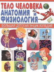 Тело человека. Анатомия и физиология.