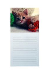Сувенир МАГНИТИК Ежедневник на магните 6*14см "Любимцы": "Котенок с клубком..."