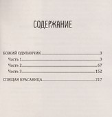 Леди-детектив. Божий одуванчик - 2