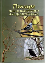 Птицы Новосибирского Академгородка. Фотоальбом