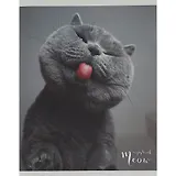 Тетрадь в клетку Listoff, "Пушистые лапки", 96 листов, в ассортименте