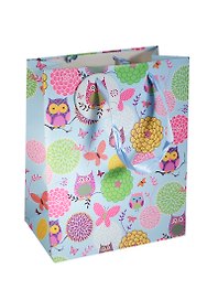 Пакет подарочный бумажный А4 26*32*12 "Совы. Owls", бирюзовый, мат. ламинат, Хансибэг
