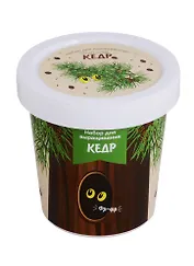 Набор для выращивания Кедр (Дупло Фр-фр) (НВ2018-17)
