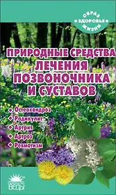 Природные средства лечения позвоночника и суставов
