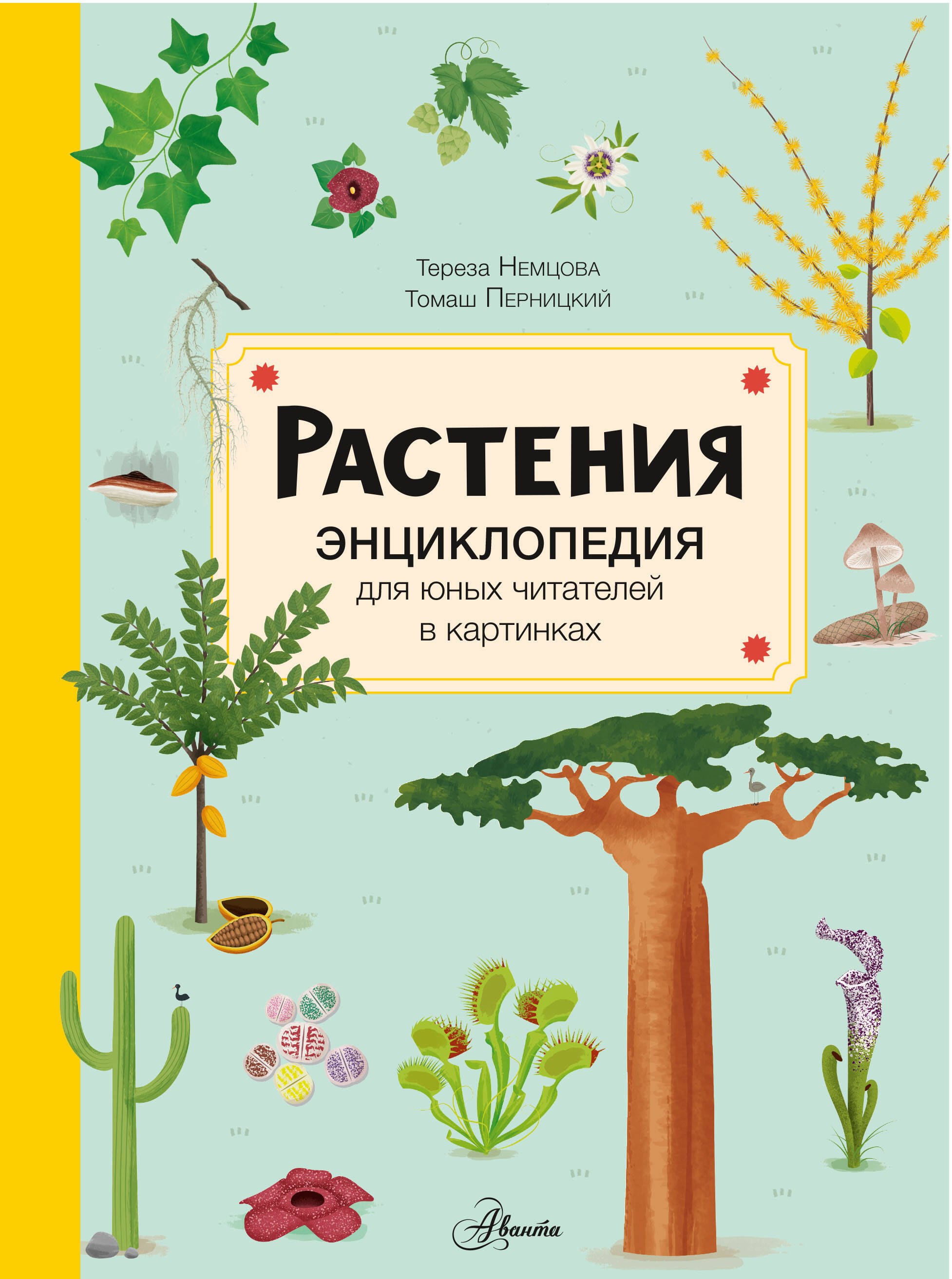 

Растения. Энциклопедия для юных читателей в картинках