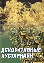 Декоративные кустарники