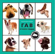 ГАВ от всего сердца