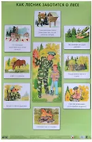 Как лесник заботится о лесе 50 x 69