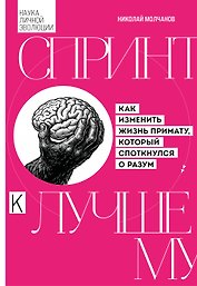 Спринт к лучшему. Как изменить жизнь примату, который споткнулся о разум