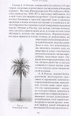 Страстоцвет, или Петербургские подоконники - 1
