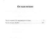 Жизнь и необычайные приключения солдата Ивана Чонкина. Книга 2: Лицо привлеченное - 1