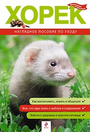 Хорек. Все о покупке, уходе и содержании