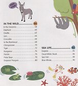 First Animals. Clever Encyclopedia. Over 500 Words To Learn - 2
