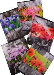 Тетрадь в клетку Unnika, "В серебряной дымке (цветы)", 48 листов, в ассортименте