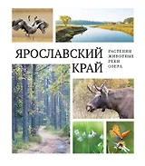 Ярославский край: растения и животные, реки и озера