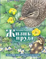 Жизнь пруда