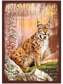 Ежедневник недатированный «Рысь» А5, 96 листов, Феникс+