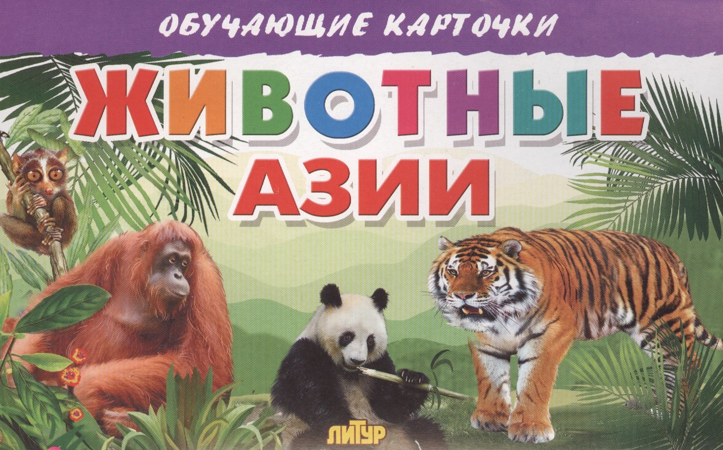 

Животные Азии