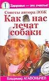 Как нас лечат собаки