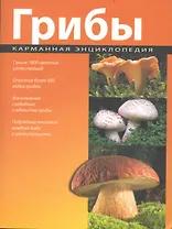 Грибы : карманная энциклопедия