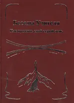 Беседы Учителя. Как прожить свой серый день. Книга II.