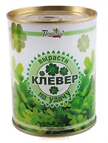 Цветок в банке "Клевер на удачу" (410497)