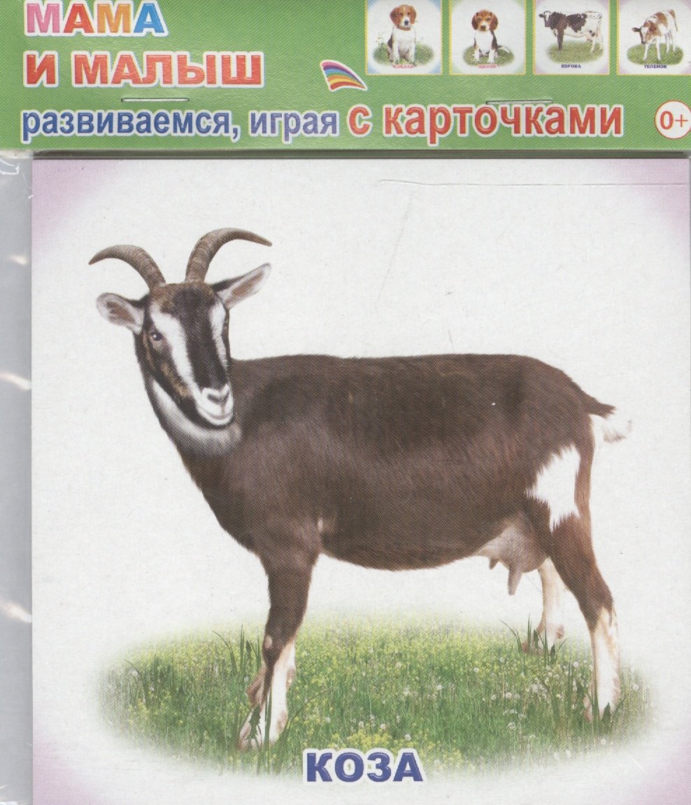 

Обучающие карточки Мама и малыш (упаковка) (978-5-91282-667-2)