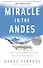 Miracle in the Andes - 0