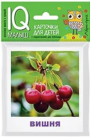 Умный малыш. Что растёт в саду?